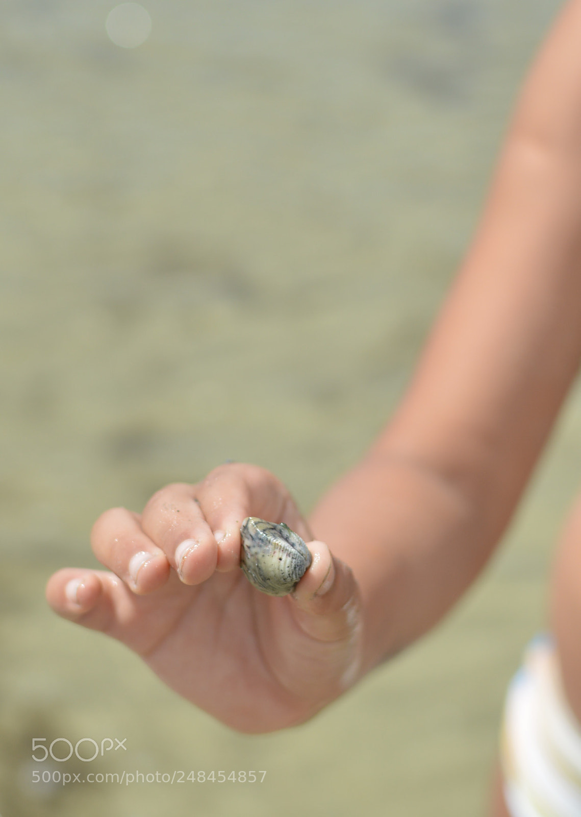 Nikon D3200 + Nikon AF-S DX Nikkor 35mm F1.8G sample photo. () photography