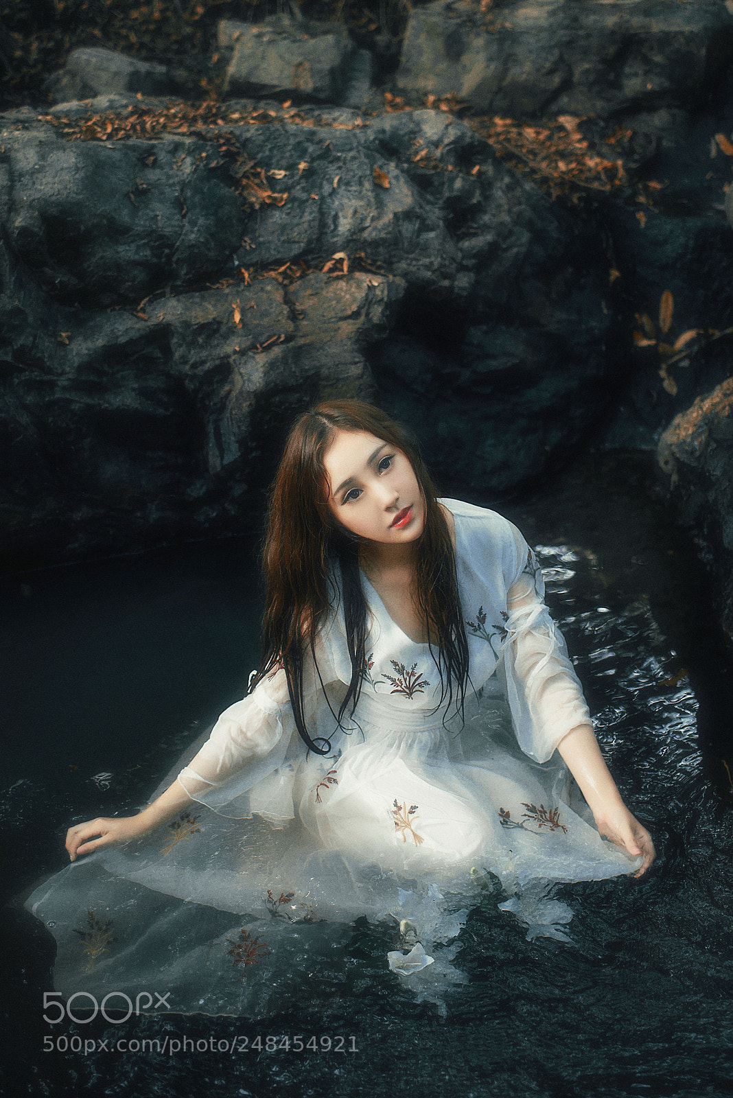 Nikon D800 sample photo. Untitled photography