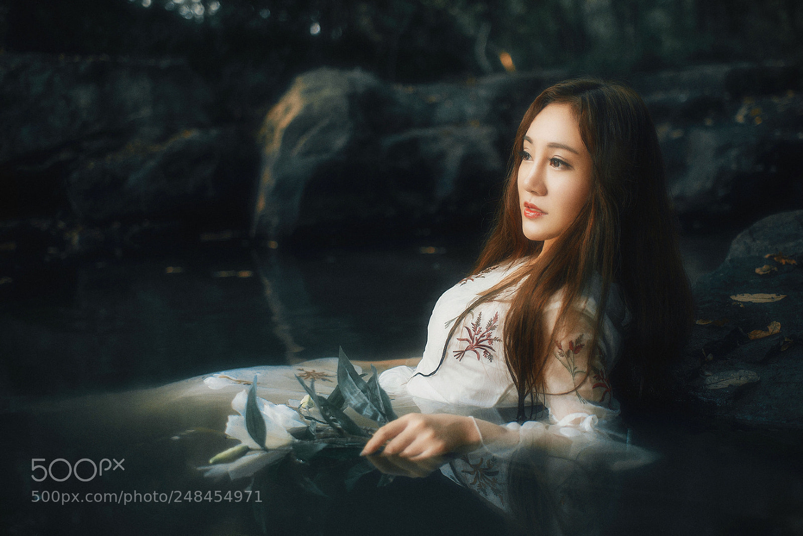 Nikon D800 sample photo. Untitled photography