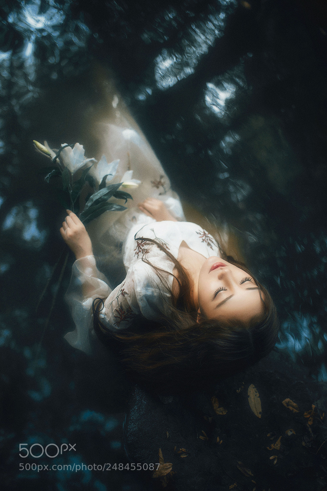 Nikon D800 sample photo. Untitled photography
