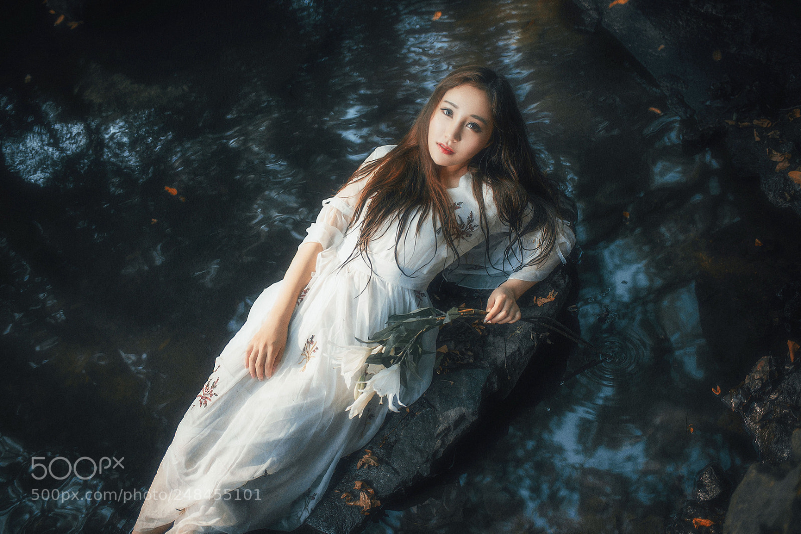 Nikon D800 sample photo. Untitled photography