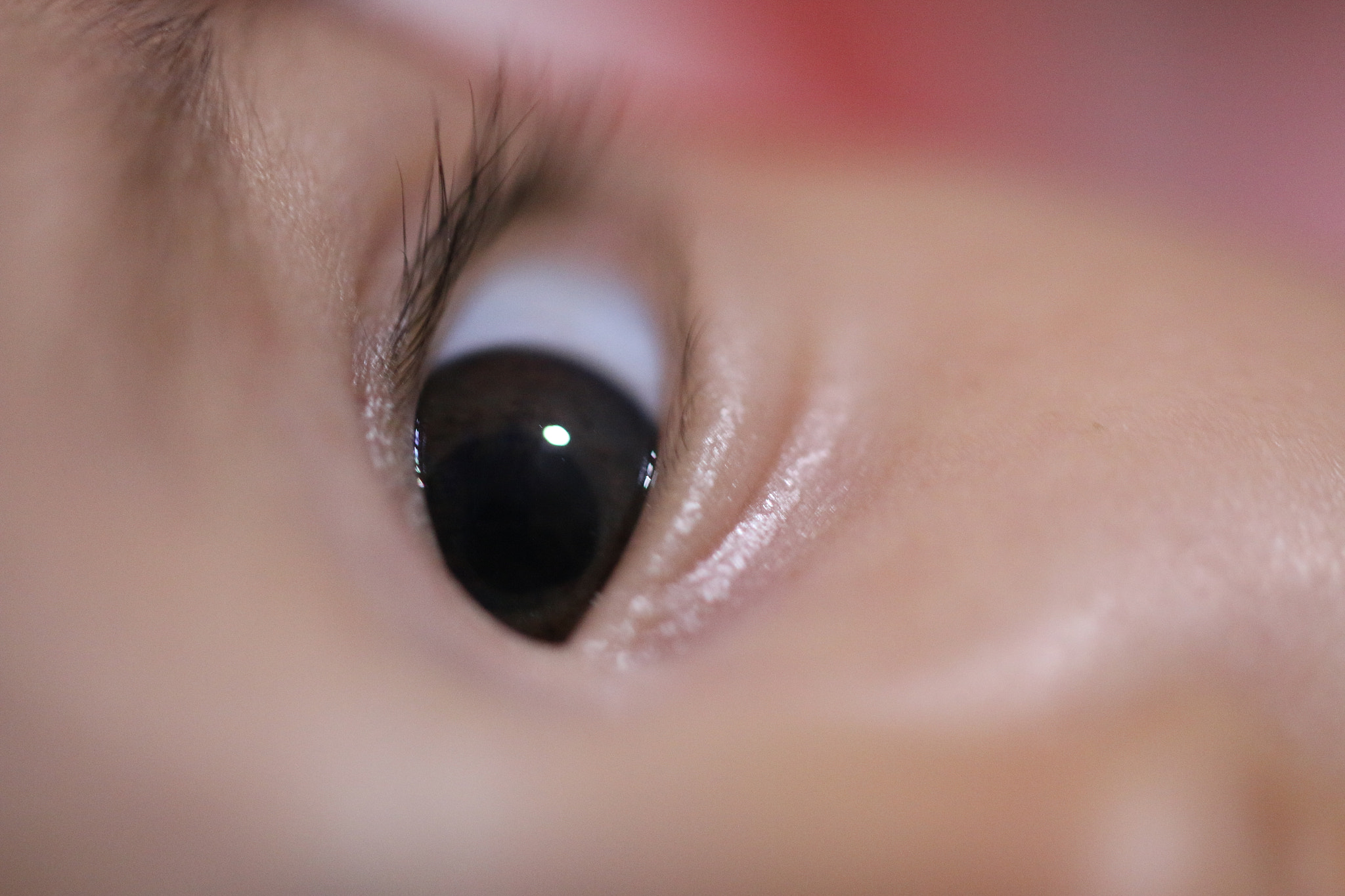 Tamron SP AF 60mm F2 Di II LD IF Macro sample photo