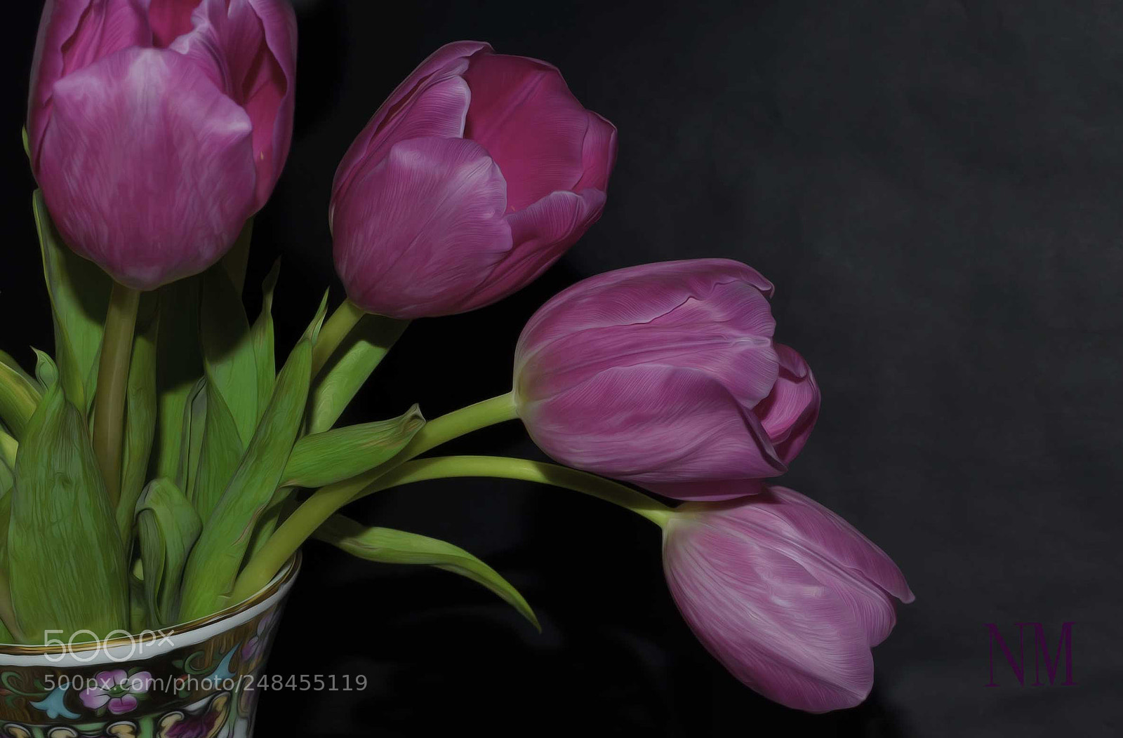 Nikon D5100 sample photo. Tulips photography