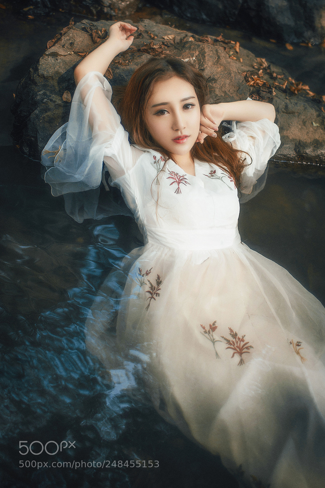 Nikon D800 sample photo. Untitled photography