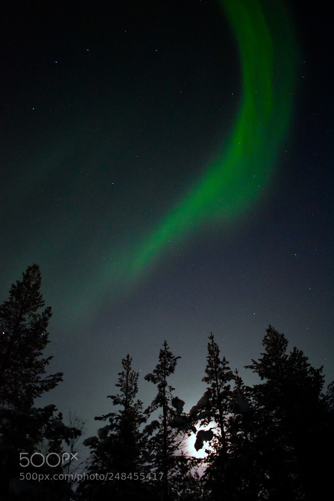 Nikon D5600 sample photo. Touch of aurora 2 photography