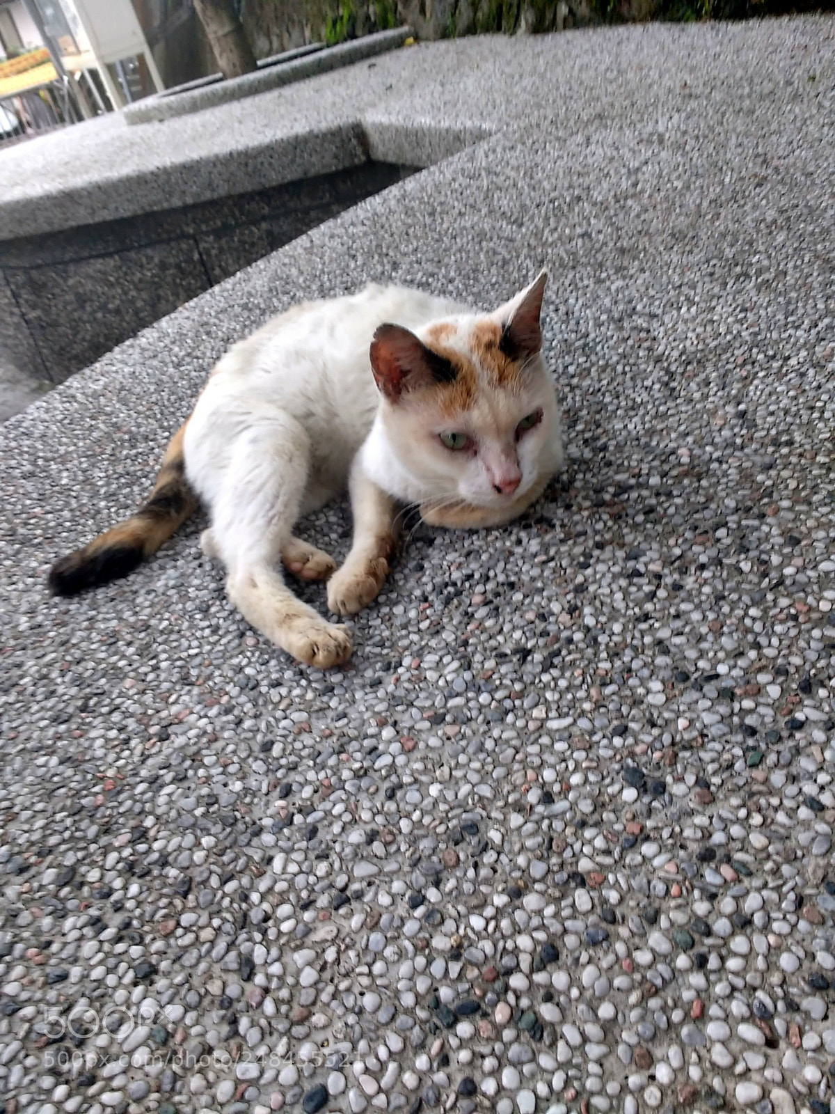 Motorola MotoG3 sample photo. C photography