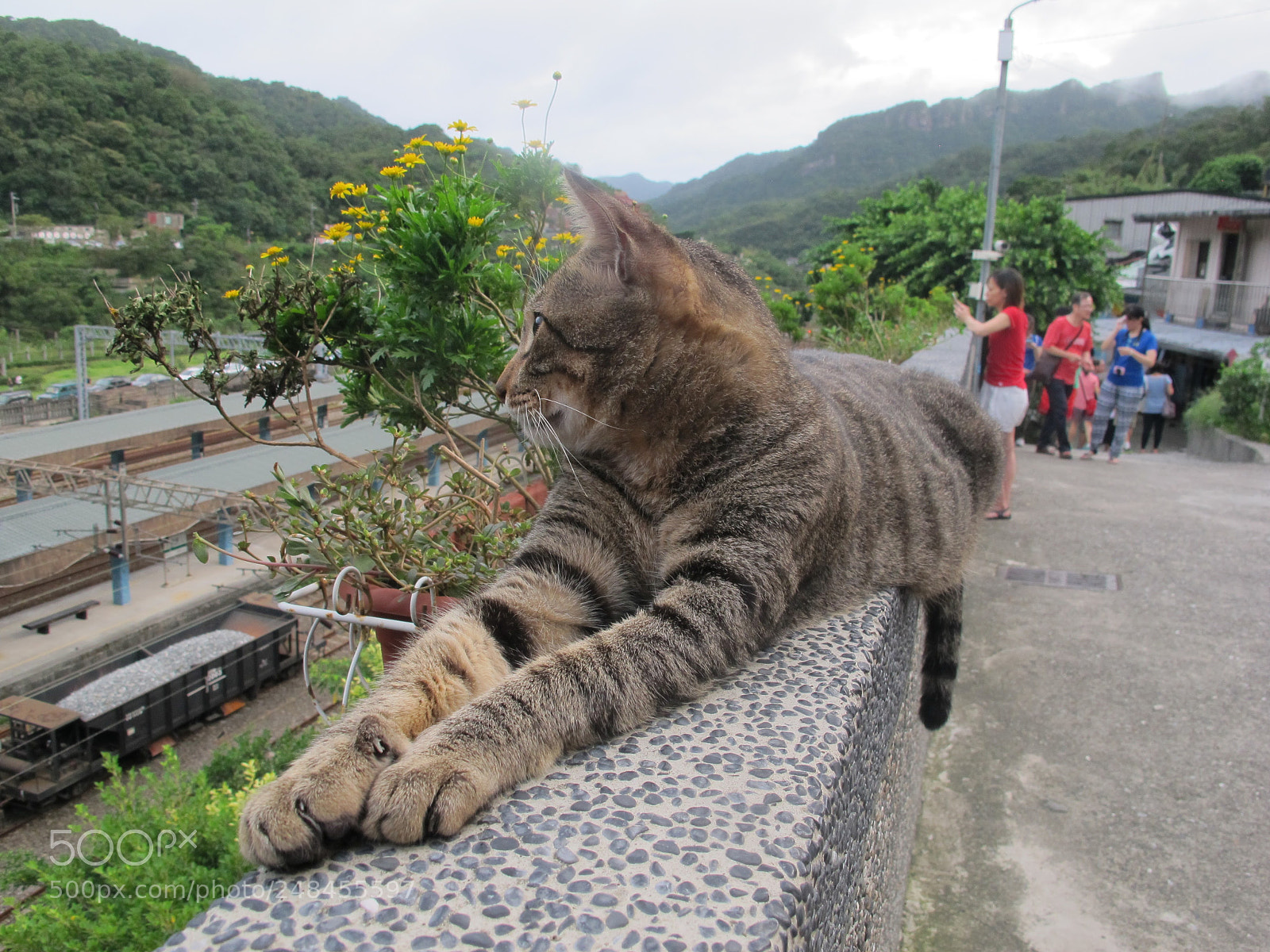 Canon PowerShot G12 sample photo. Img photography