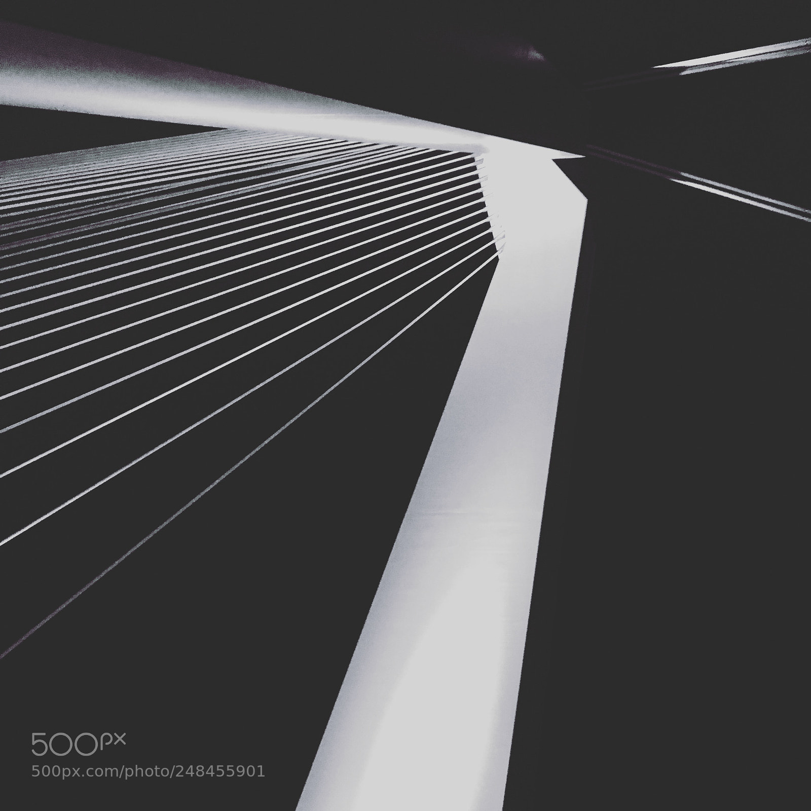 Apple iPhone 6s sample photo. Erasmus bridge rotterdam photography