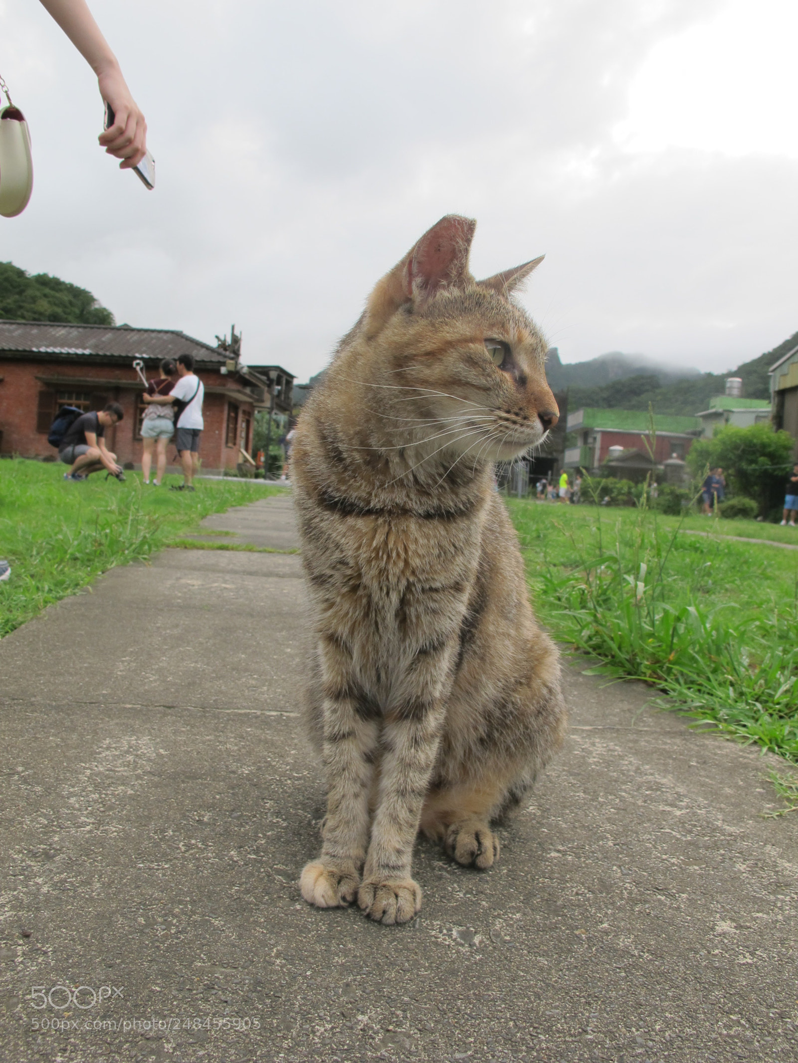 Canon PowerShot G12 sample photo. Img photography