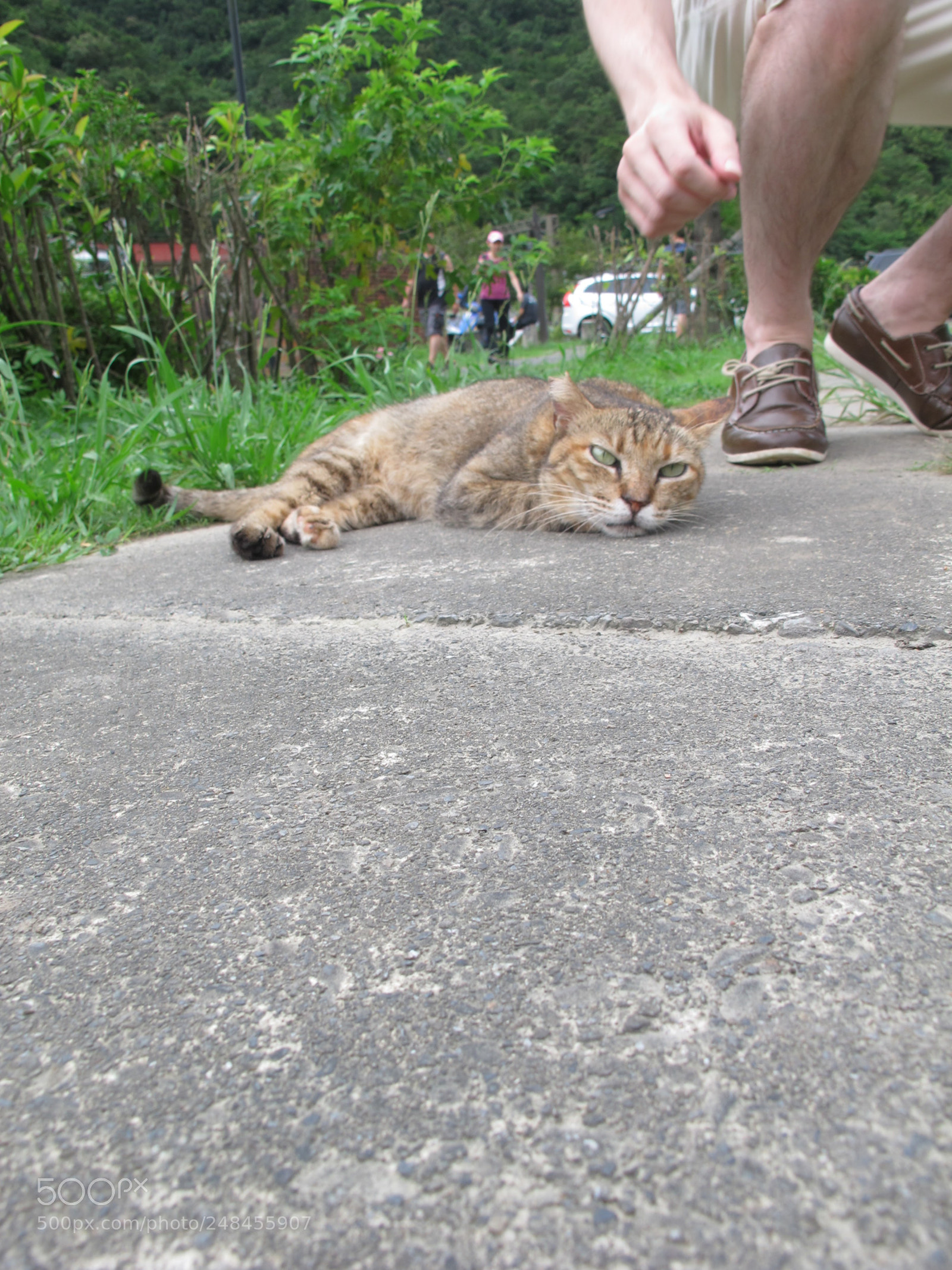 Canon PowerShot G12 sample photo. Img photography
