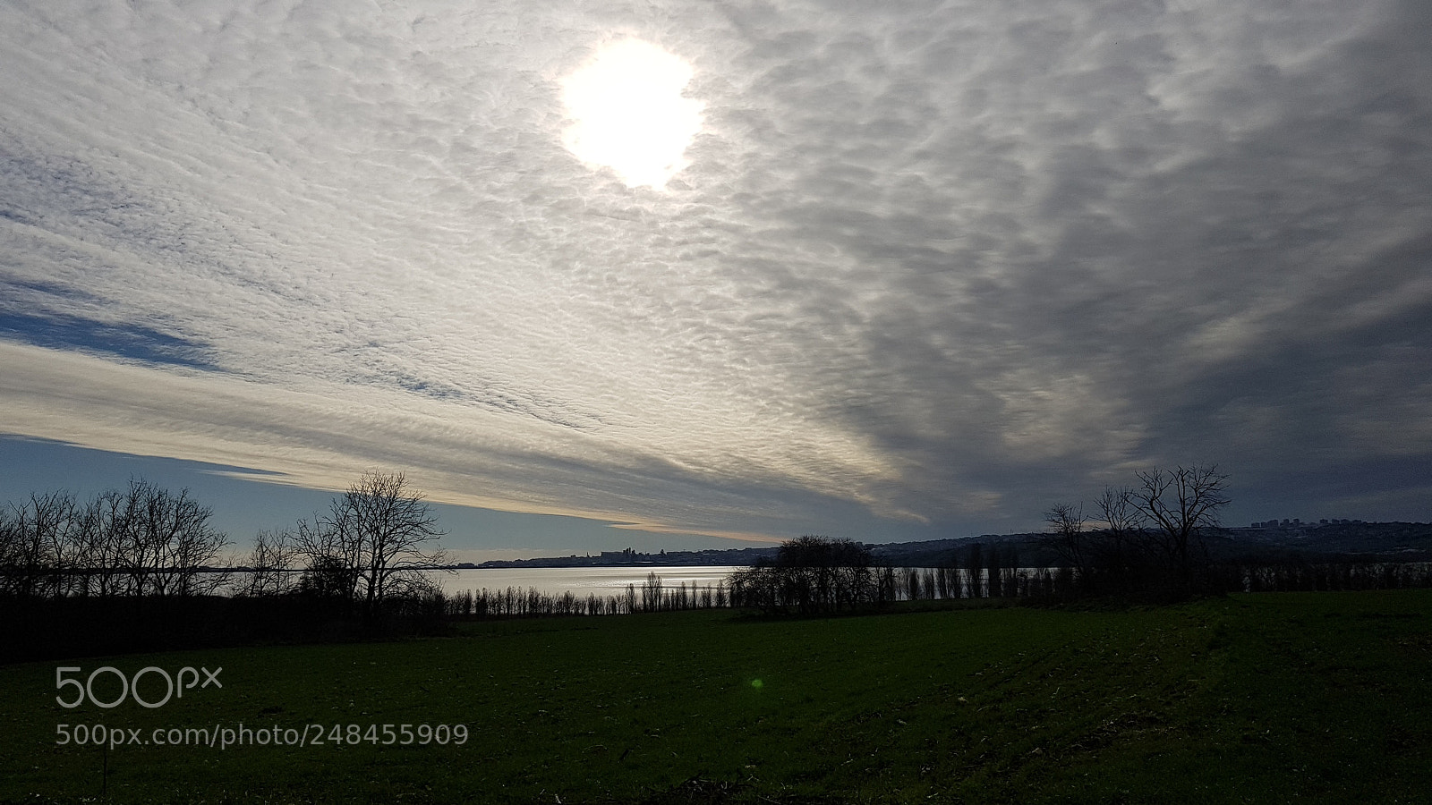 Samsung Galaxy S8+ sample photo. Untitled photography