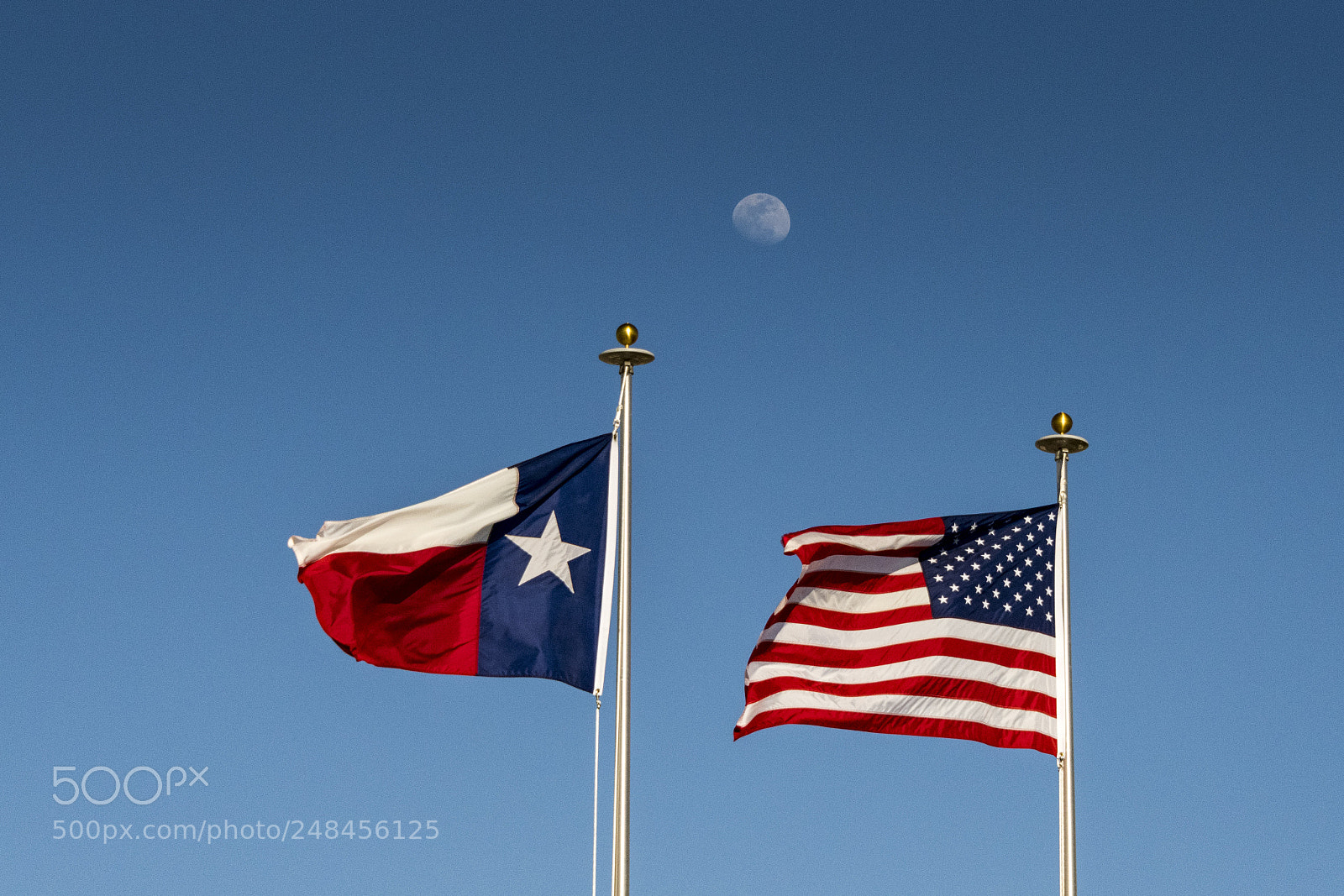 Nikon D850 sample photo. Moon over the flags photography