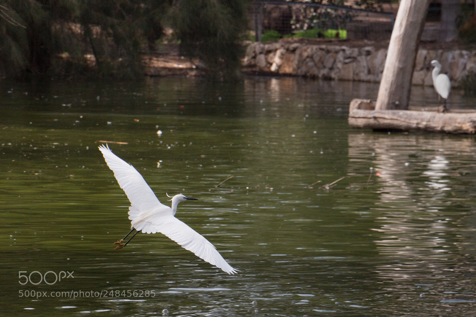 Canon EOS 700D (EOS Rebel T5i / EOS Kiss X7i) sample photo. Untitled photography