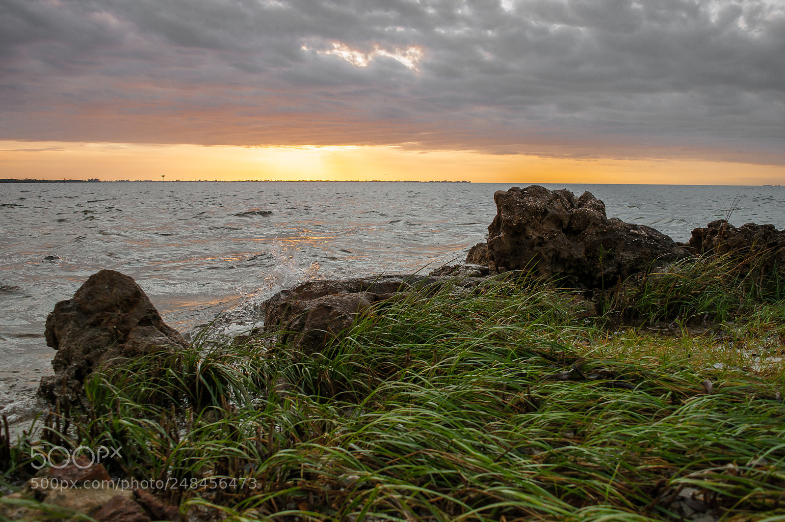Nikon D5000 sample photo. Waving grass sunset photography