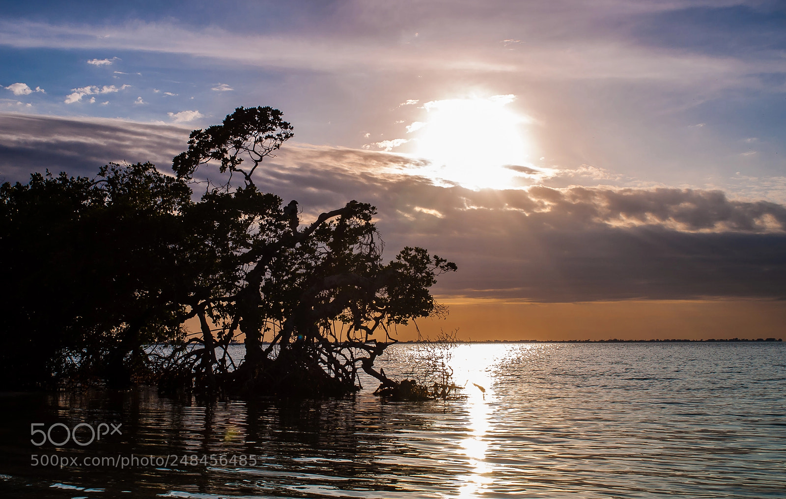 Nikon D5000 sample photo. Sunset under cold front photography