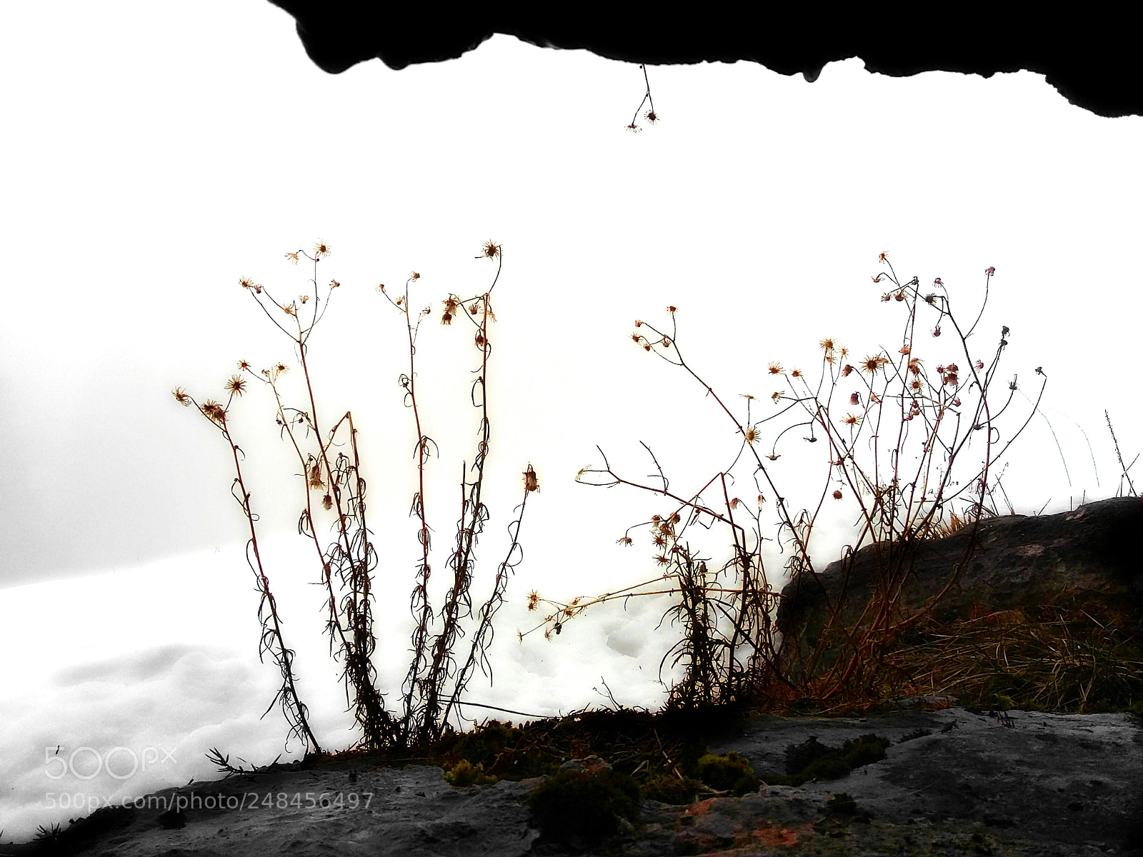 Samsung Galaxy Grand Prime sample photo. Untitled photography