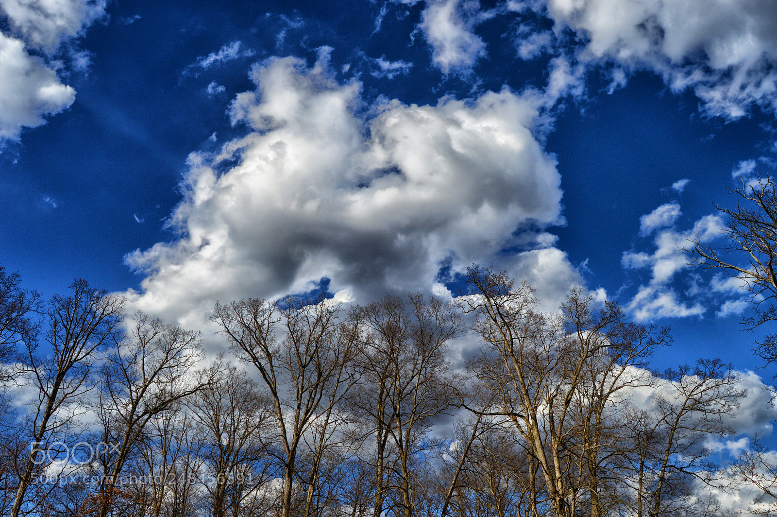Nikon D3200 sample photo. Eye see you photography
