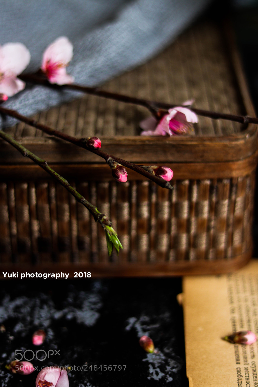 Canon EOS 77D (EOS 9000D / EOS 770D) sample photo. Untitled photography