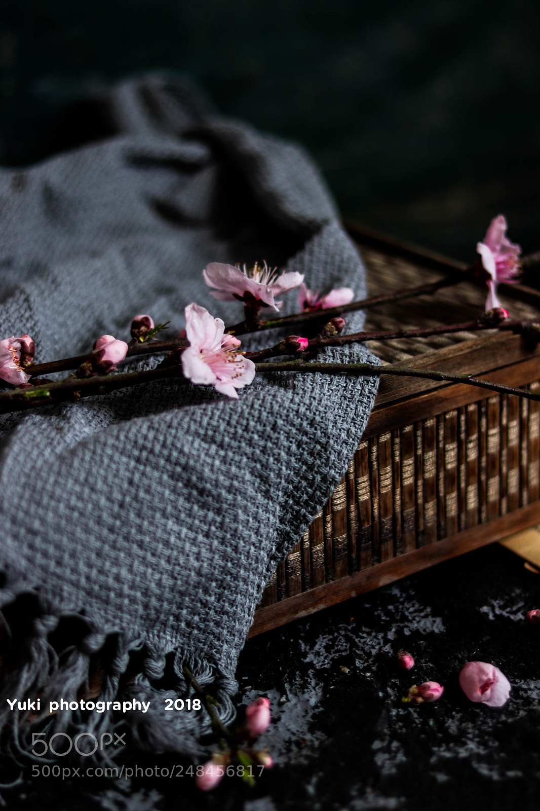 Canon EOS 77D (EOS 9000D / EOS 770D) sample photo. Untitled photography