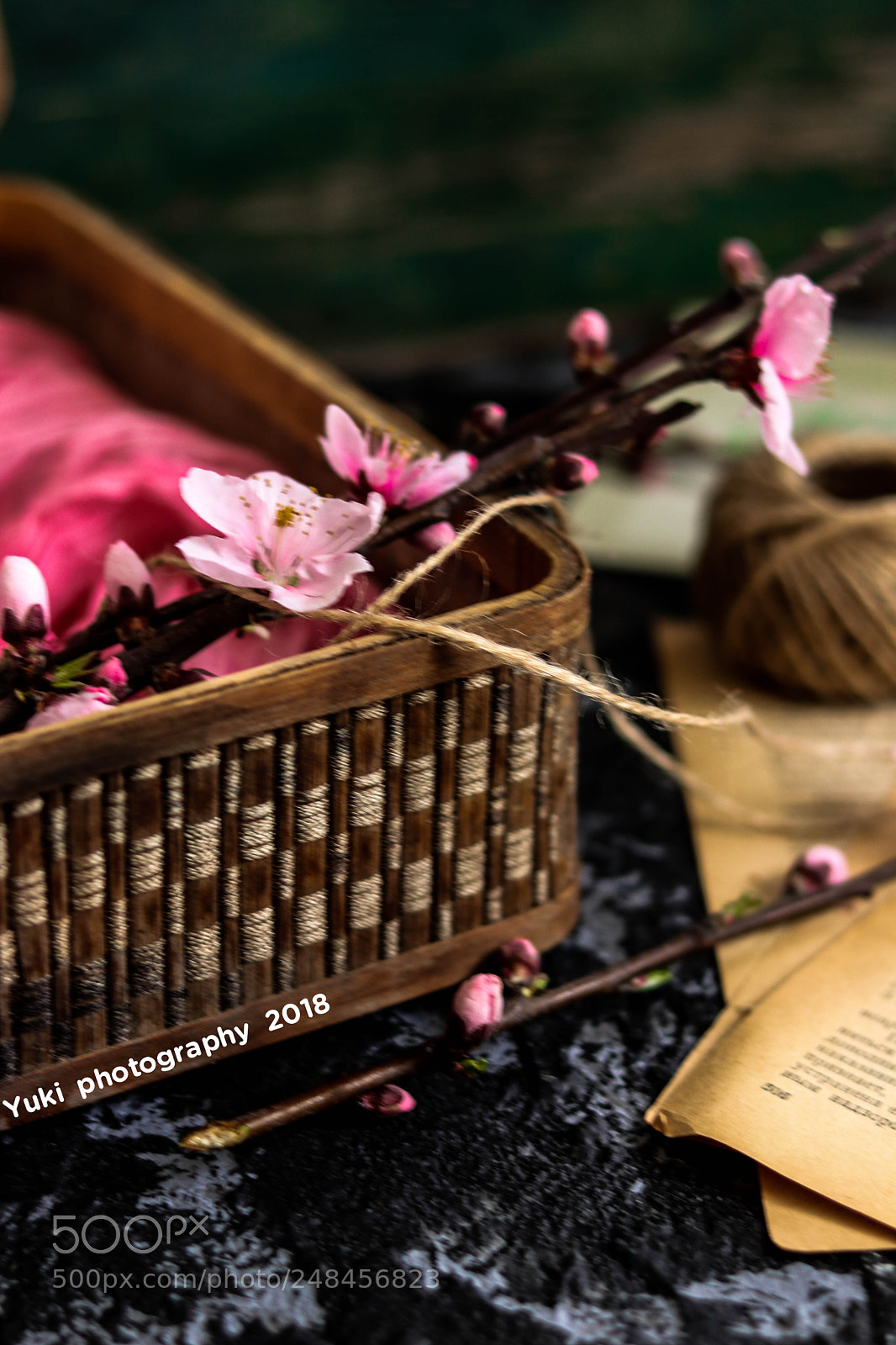 Canon EOS 77D (EOS 9000D / EOS 770D) sample photo. Untitled photography