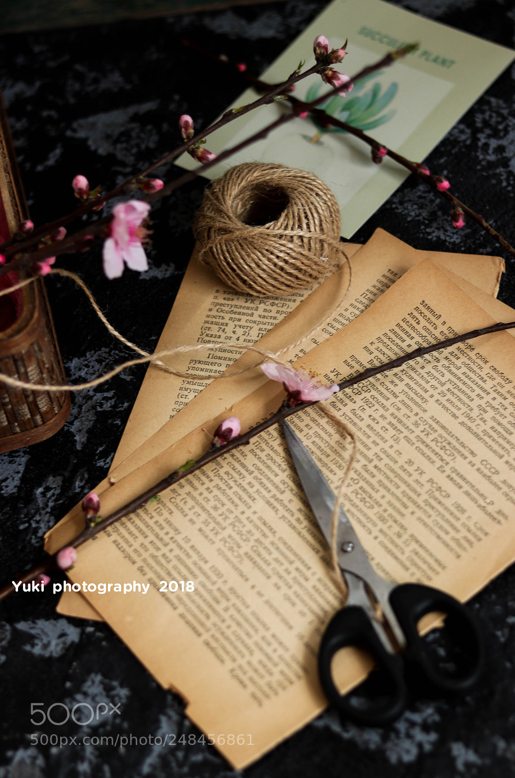 Canon EOS 77D (EOS 9000D / EOS 770D) sample photo. Untitled photography