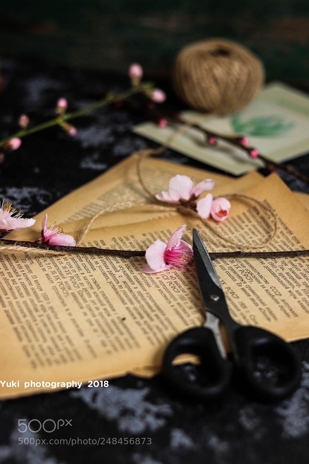 Canon EOS 77D (EOS 9000D / EOS 770D) sample photo. Untitled photography