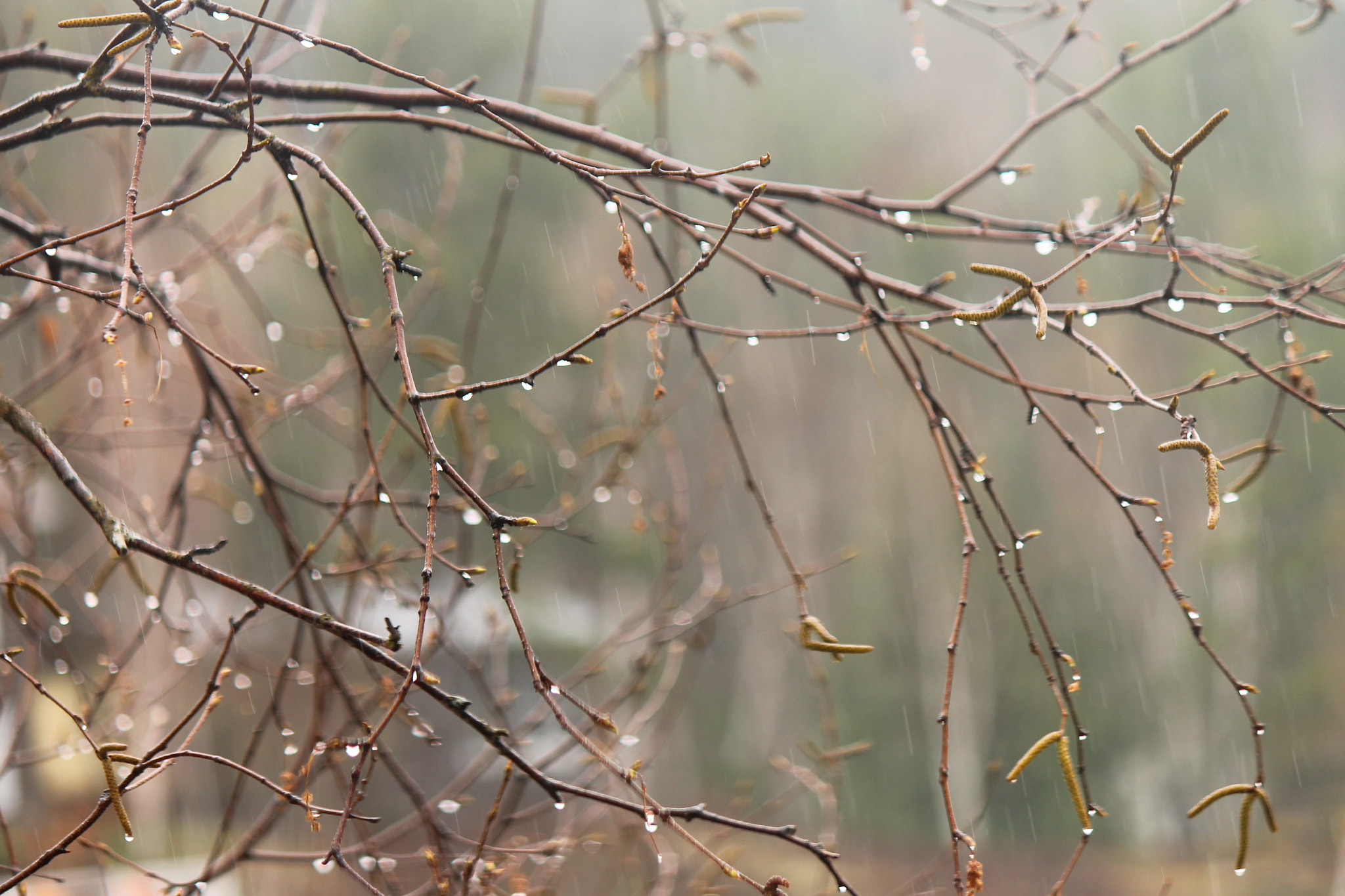 Canon EF-S 55-250mm F4-5.6 IS sample photo. Water droplets photography