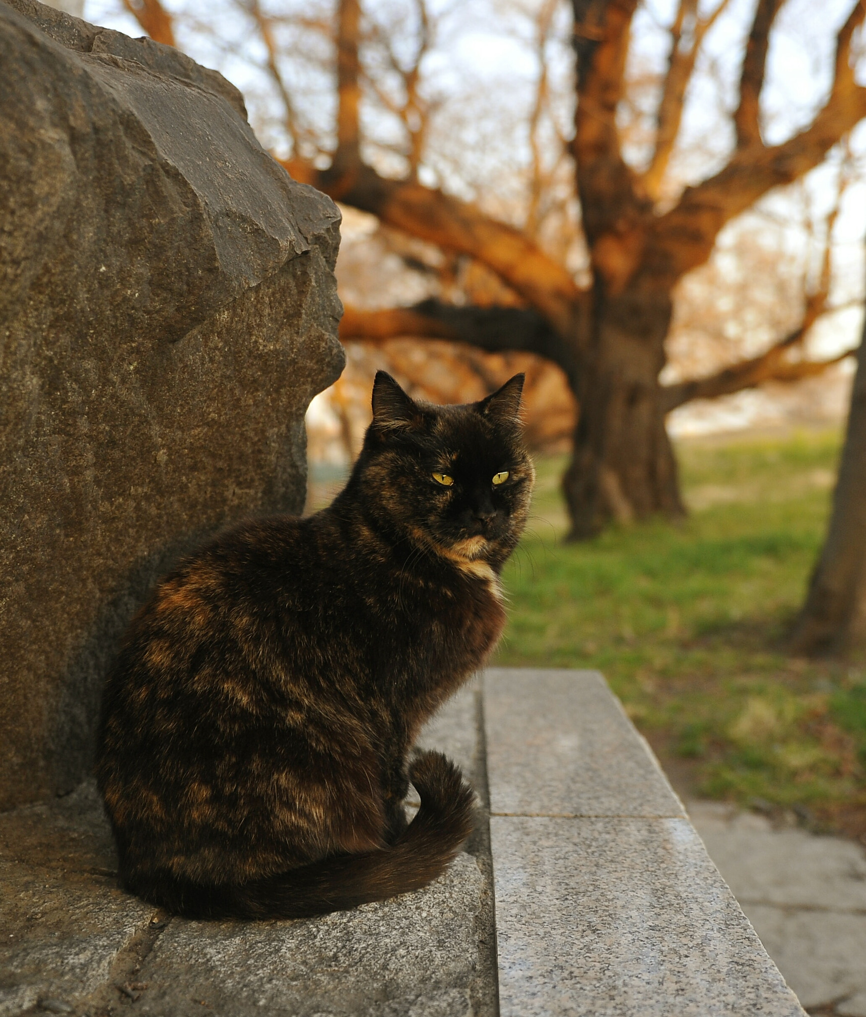 Nikon AF-S Nikkor 24-70mm F2.8G ED sample photo. Looking photography
