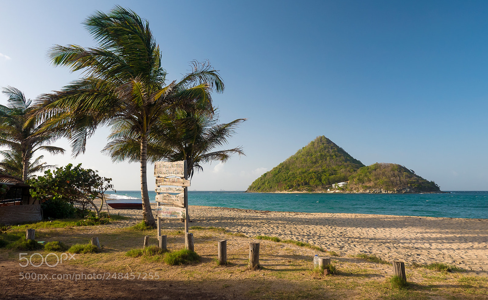 Panasonic Lumix DMC-LX100 sample photo. Sugarloaf island photography