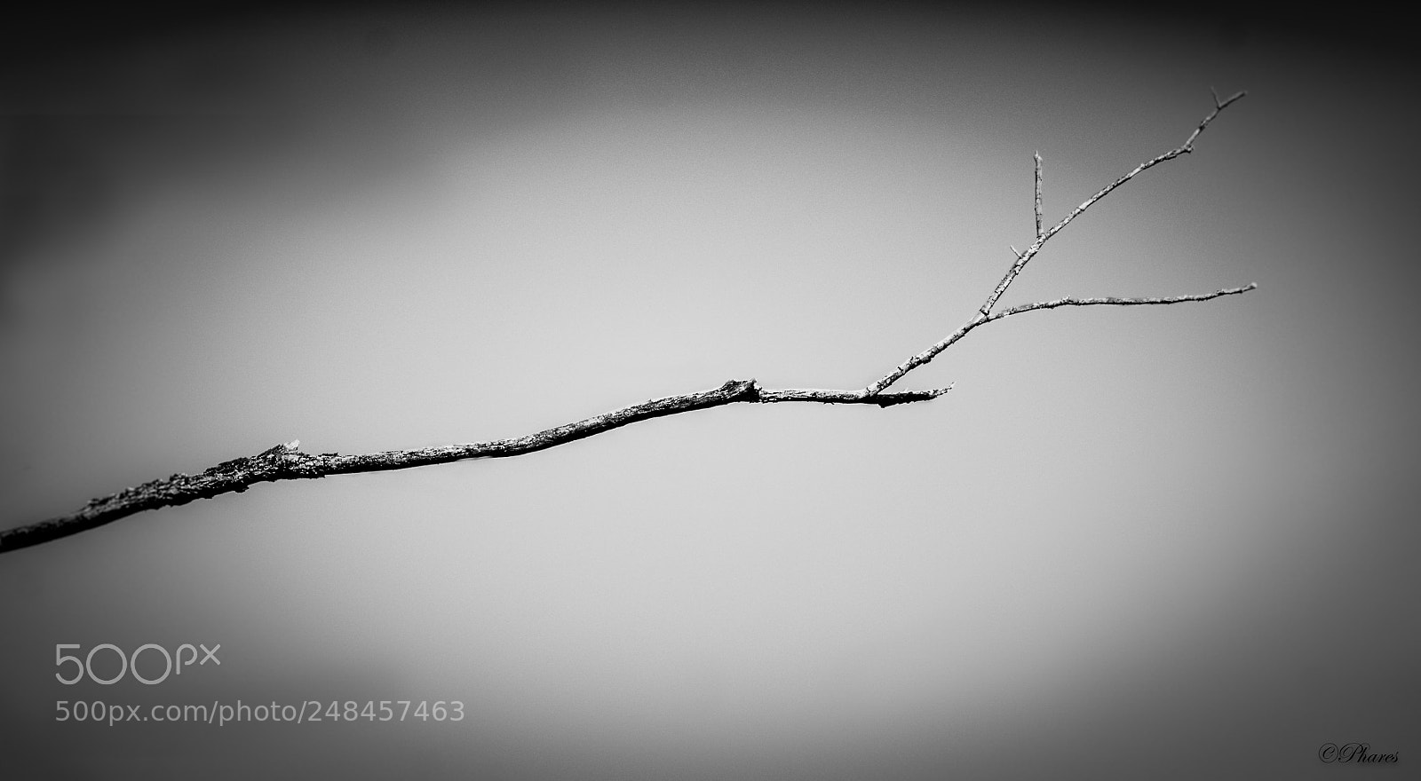 Nikon D7100 sample photo. Simplicity photography