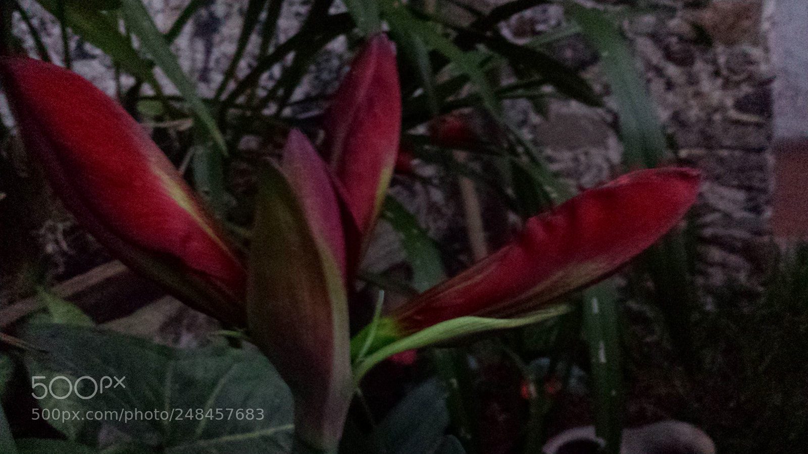 Samsung Galaxy S4 sample photo. Untitled photography