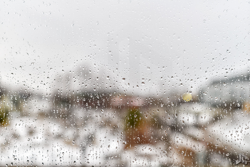 Nikon D610 sample photo. Rainy winter photography