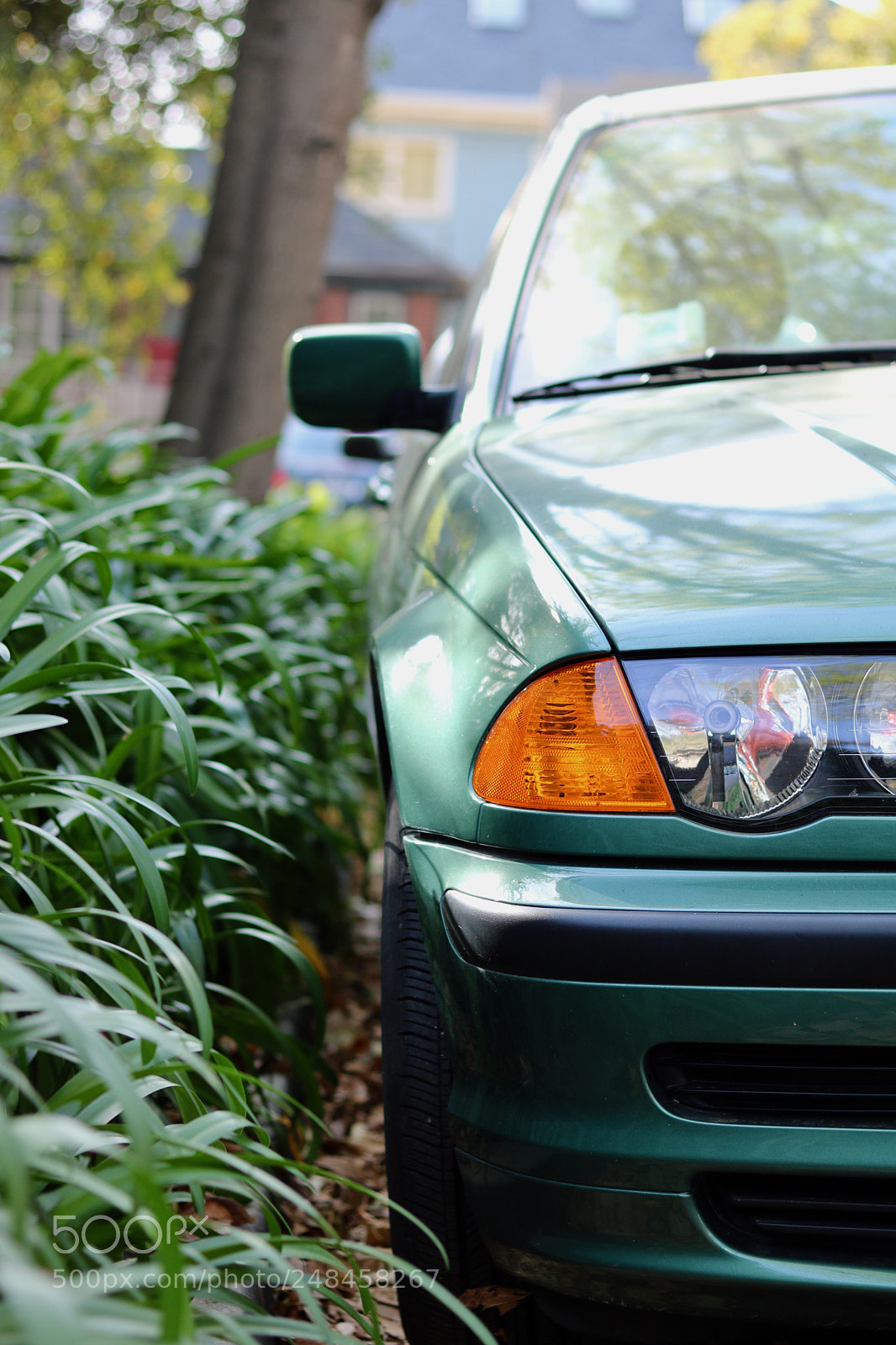 Canon EOS 750D (EOS Rebel T6i / EOS Kiss X8i) sample photo. Matching colors photography