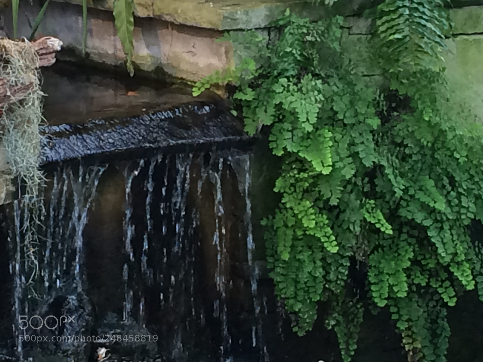 Apple iPhone 5s sample photo. Untitled photography
