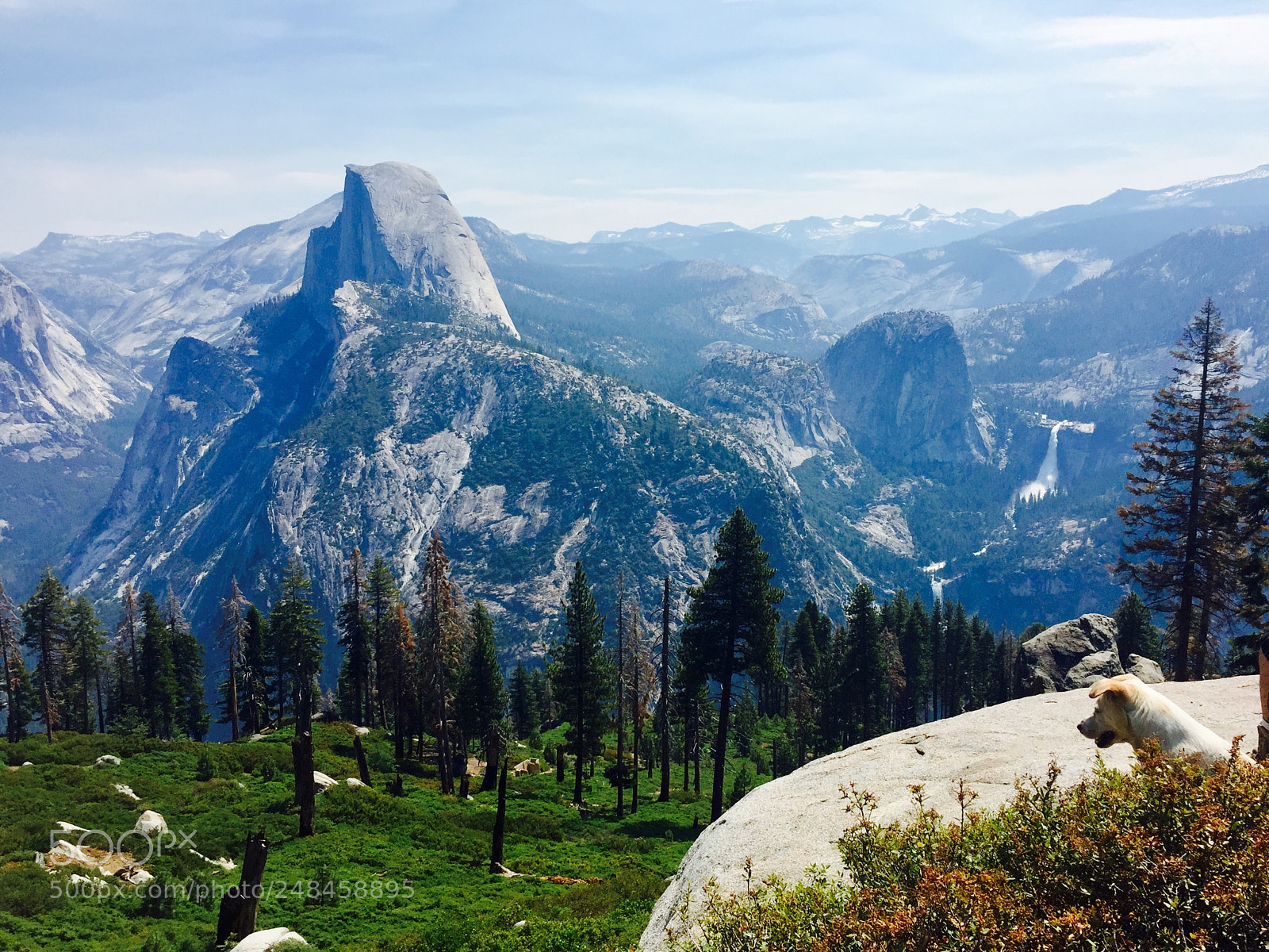 Apple iPhone 6 sample photo. His masters view.  photography