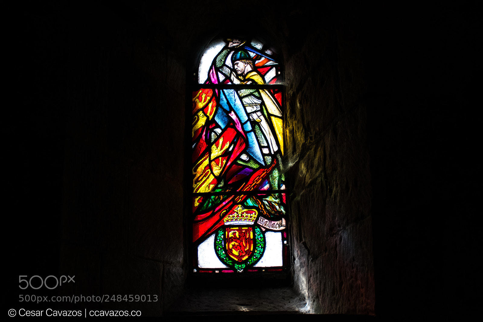 Nikon D3400 sample photo. William wallace photography