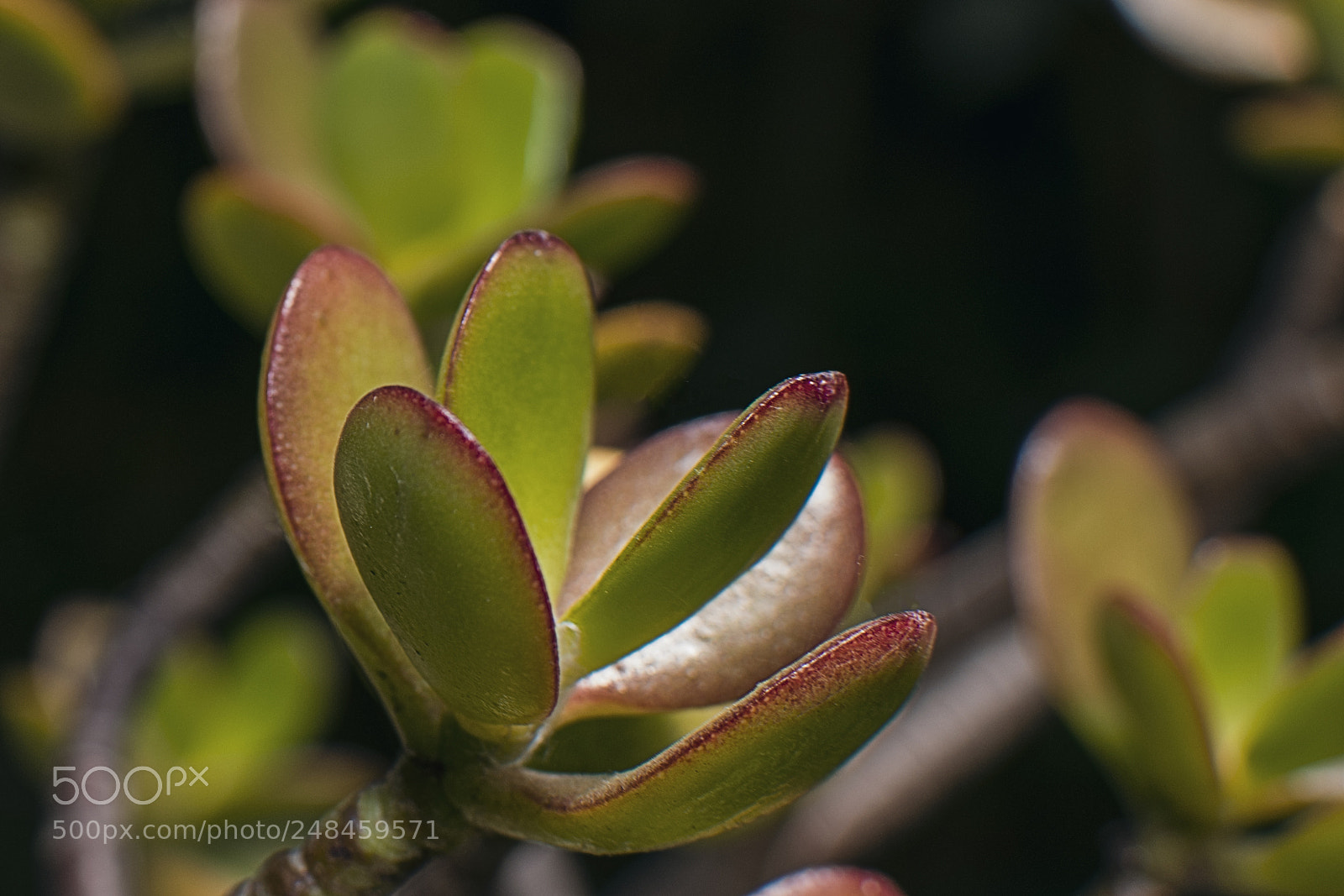 Nikon D3400 sample photo. Untitled photography