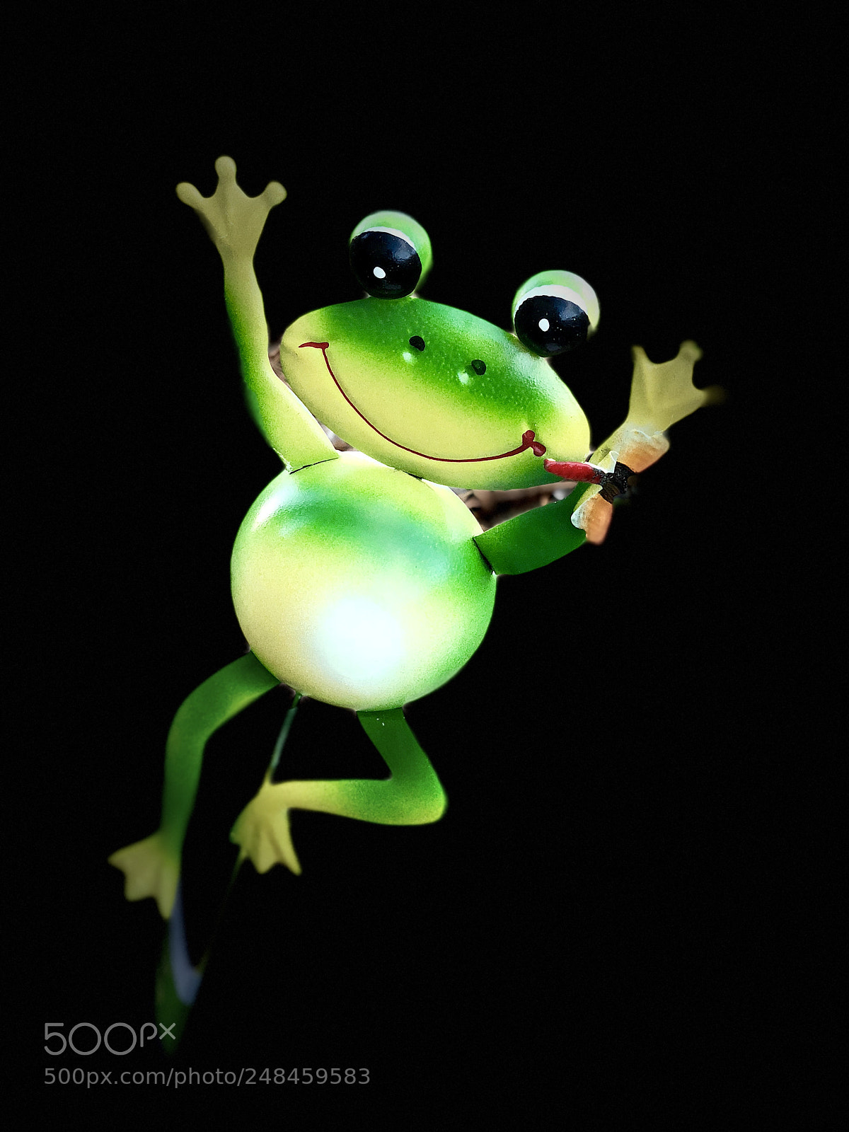 Apple iPhone X sample photo. Frog photography