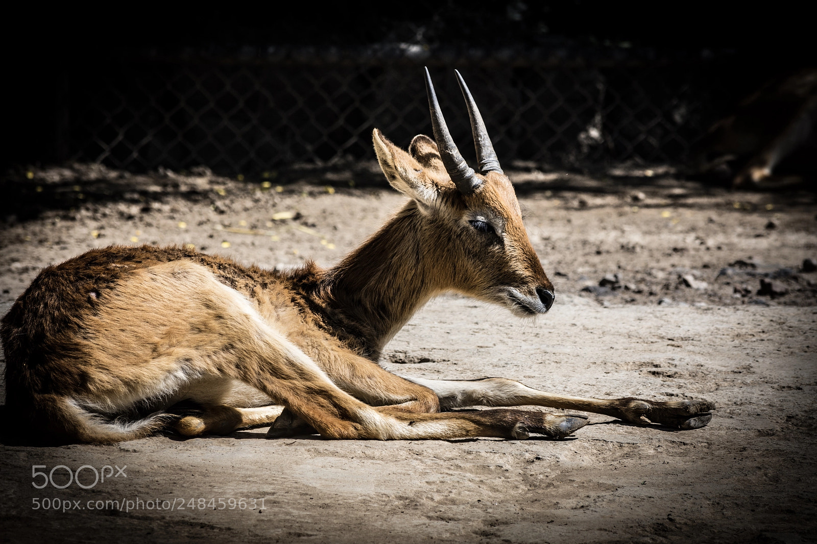 Nikon D7200 sample photo. Untitled photography