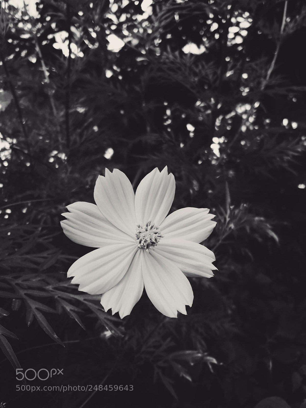 Samsung Galaxy J7 Neo sample photo. Untitled photography