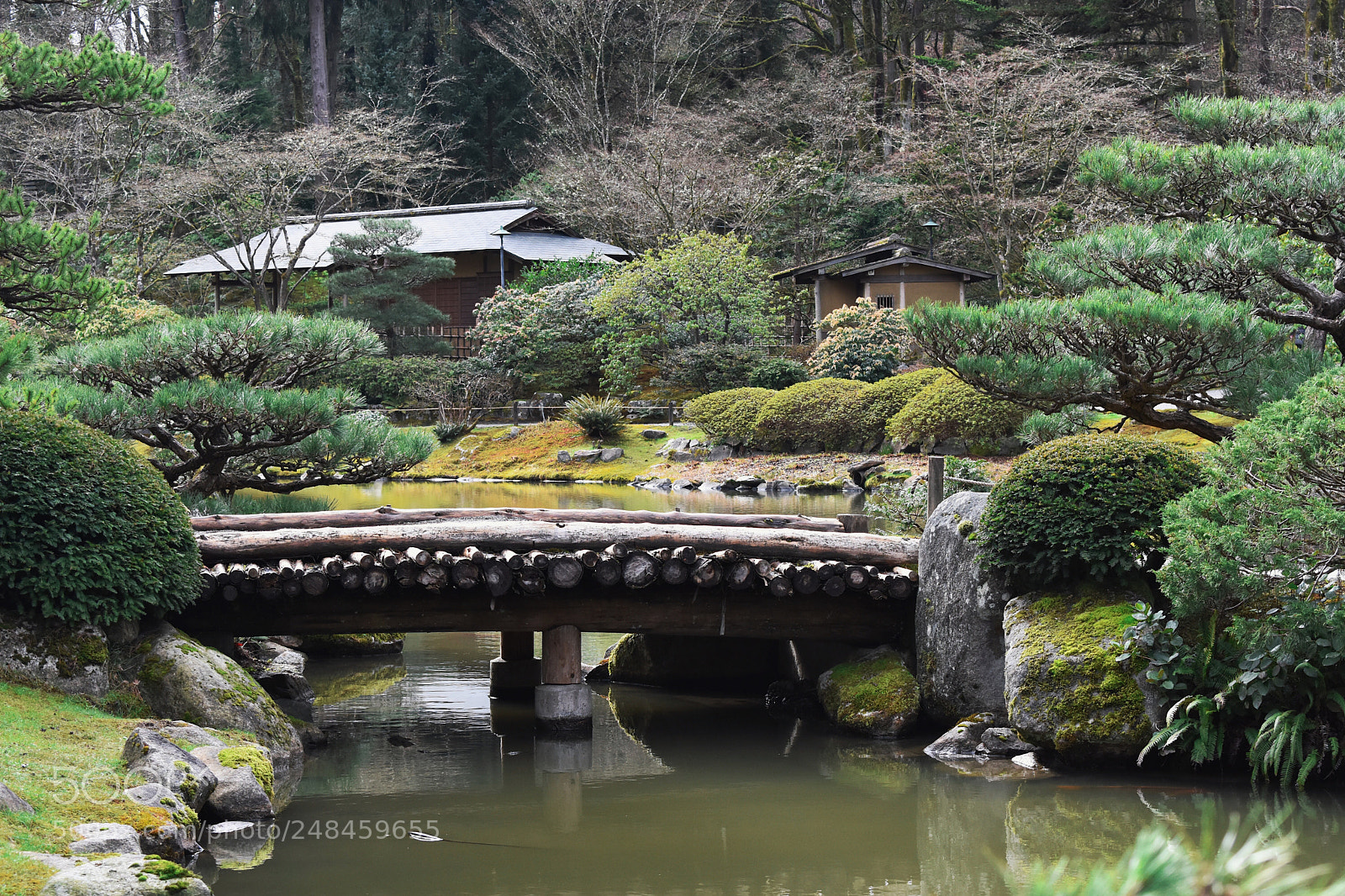 Nikon D7200 sample photo. Zen. photography