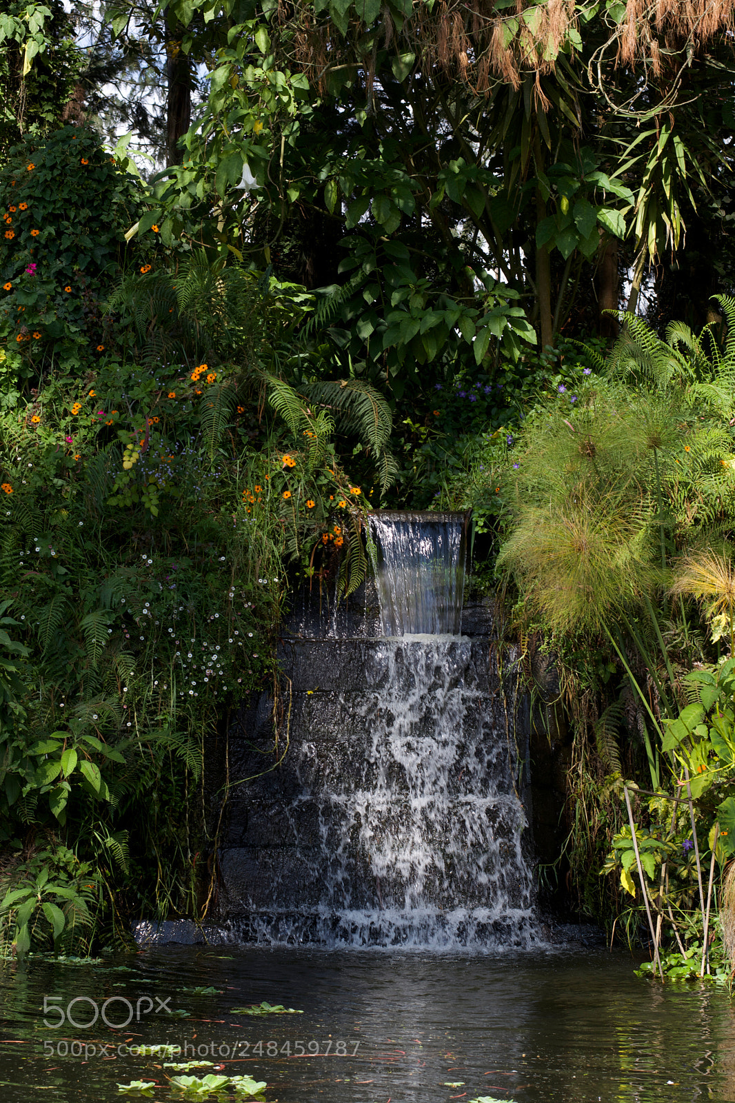 Nikon D5200 sample photo. Agua photography