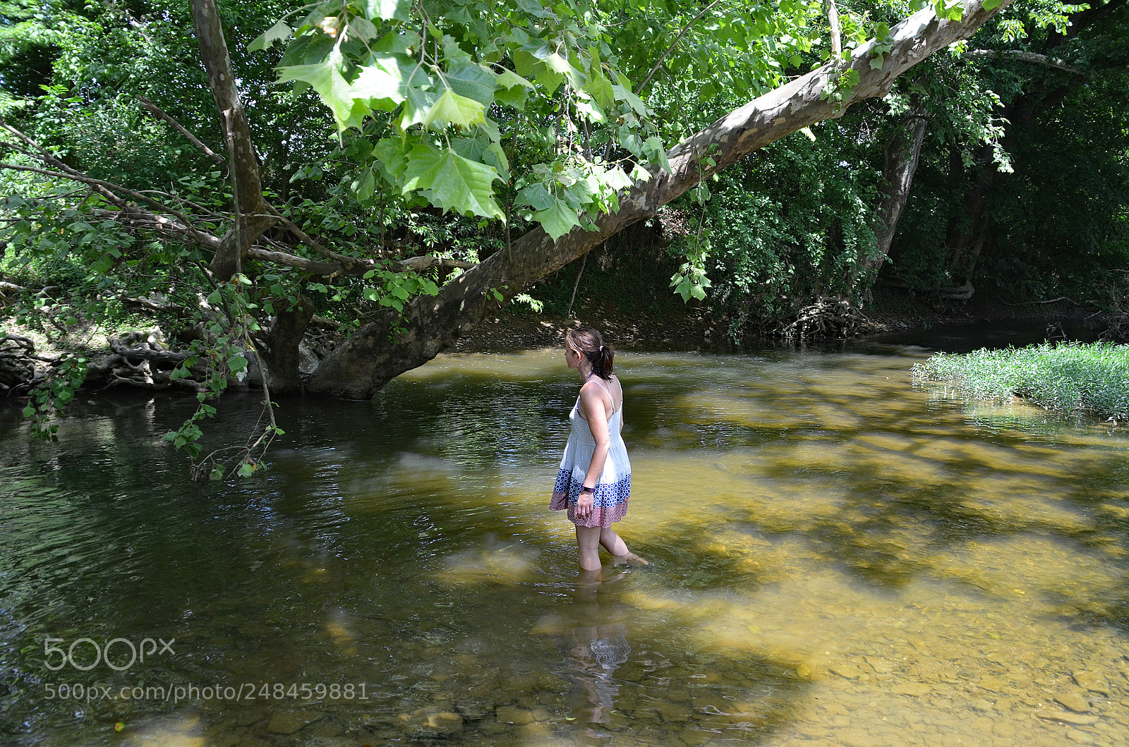 Nikon D5100 sample photo. Babe in the creek photography