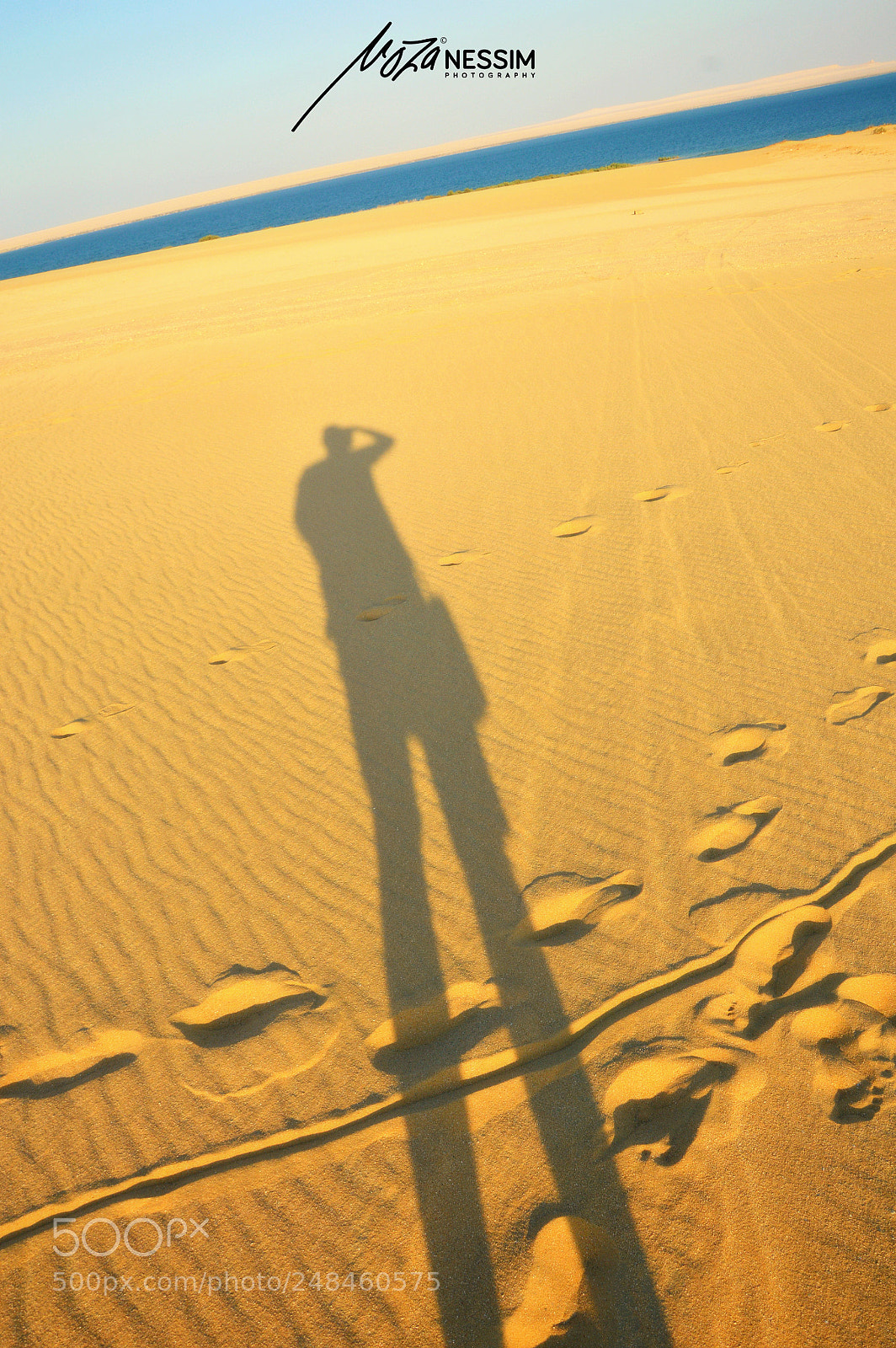 Nikon D3200 sample photo. Untitled photography