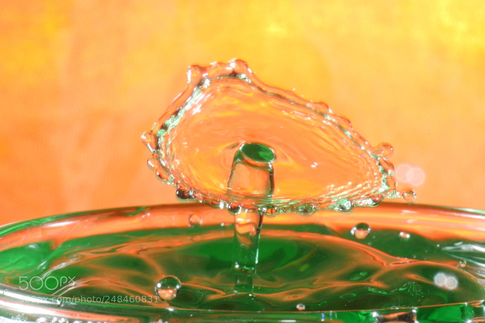 Panasonic Lumix DMC-GX8 sample photo. Umbrella photography