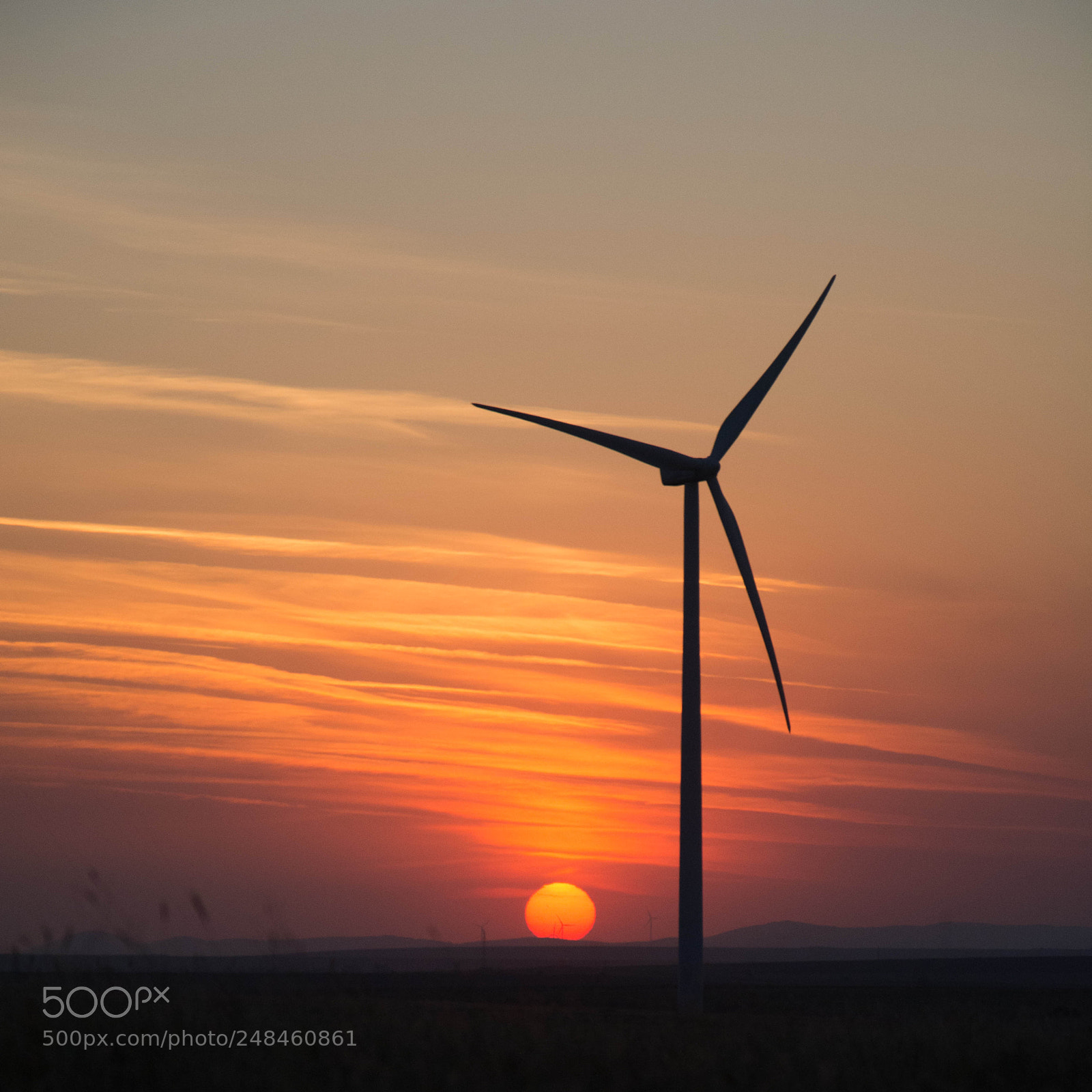 Nikon D5200 sample photo. Wind photography