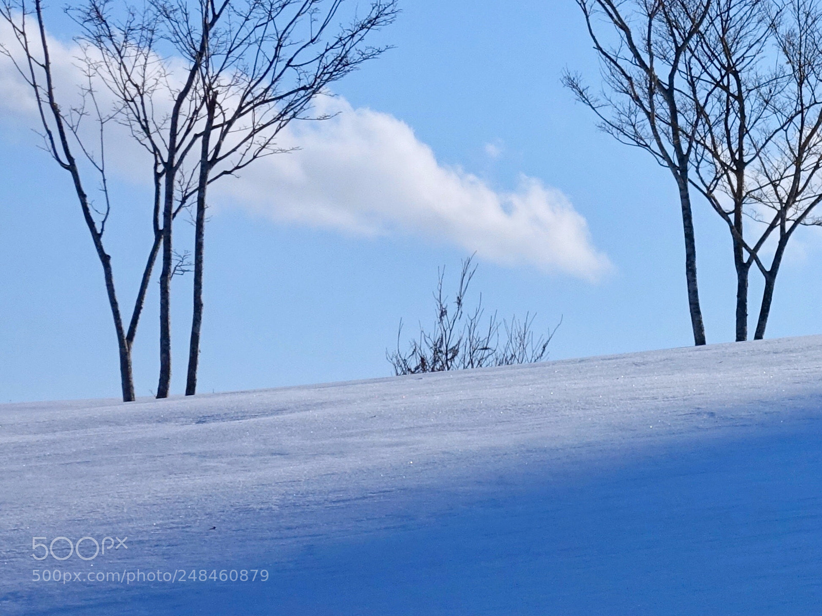Sony Cyber-shot DSC-RX100 IV sample photo. Snow land in march photography