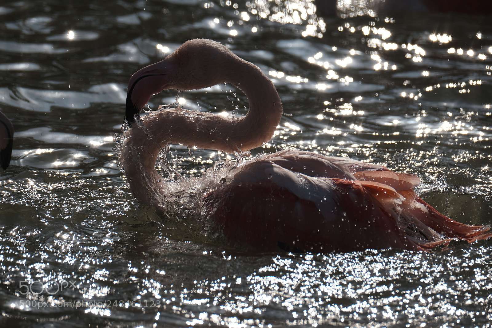 Fujifilm X-H1 sample photo. Wearing water photography