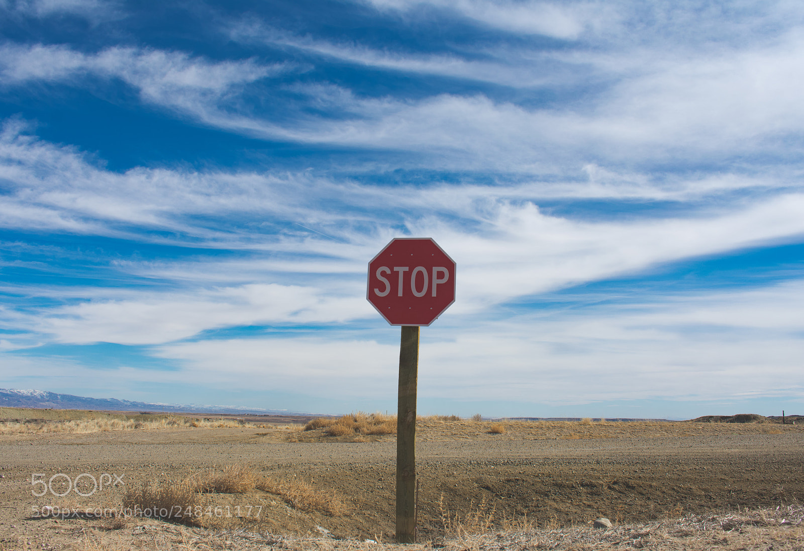 Nikon D3400 sample photo. Stop photography