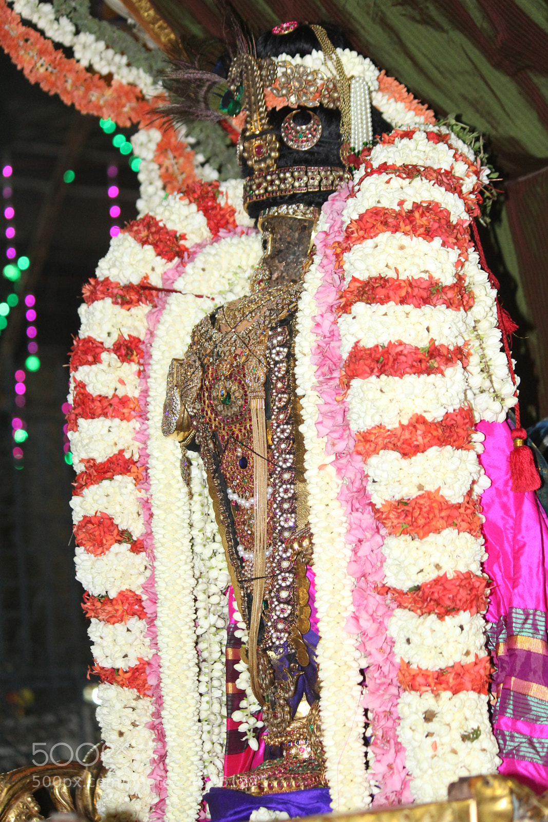 Canon EF-S 55-250mm F4-5.6 IS II sample photo. Upendra parthasarathy photography